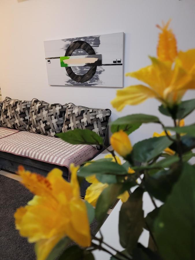 Cozy Park Residences 5 Букурещ Екстериор снимка